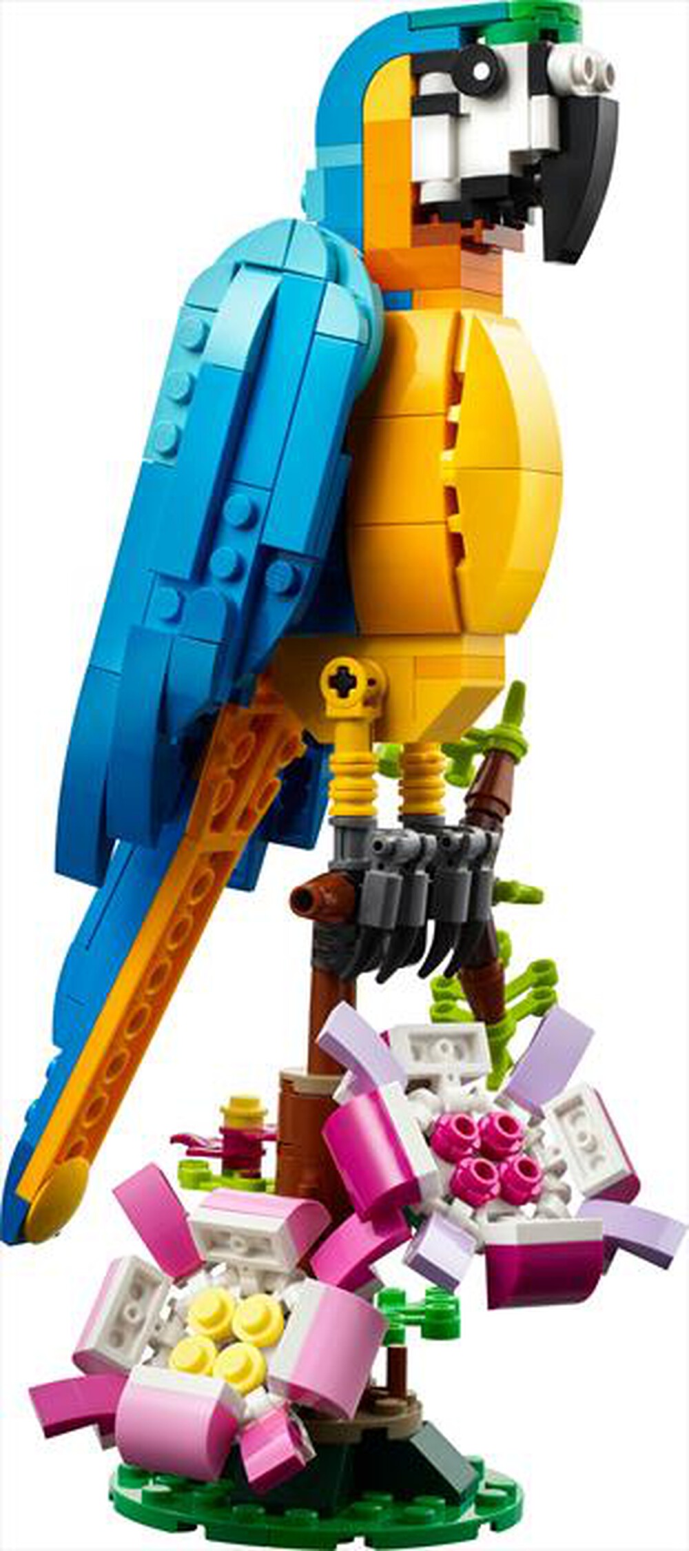 Immagine del prodotto LEGO - CREATOR Pappagallo esotico 31136