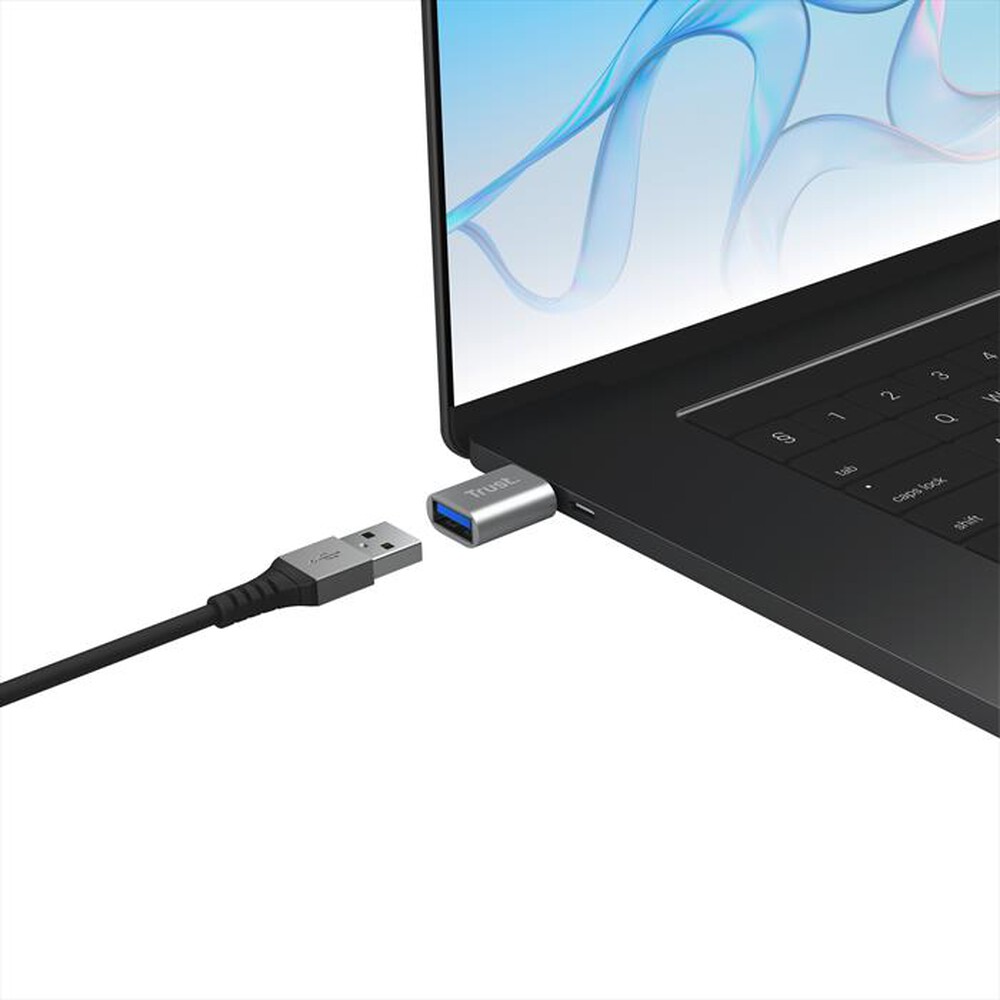 Immagine del prodotto TRUST - Adattatore CALYX USB-C TO USB-A ADAPTER 2PACK-Grey