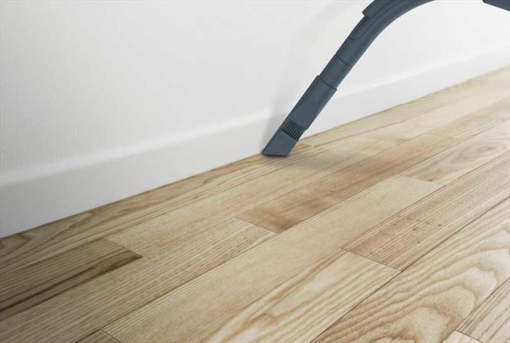Immagine del prodotto HOOVER - Aspirapolvere a traino BR31PET-Nero