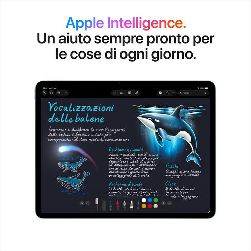 Immagine del prodotto APPLE - iPad Air 13" M4 WiFi 256GB-Galassia