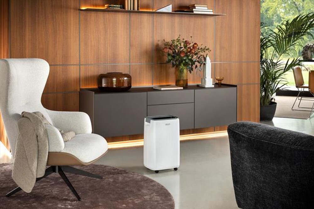 Immagine del prodotto DE LONGHI - Deumidificatore 16L DEP216-Bianco / grigio