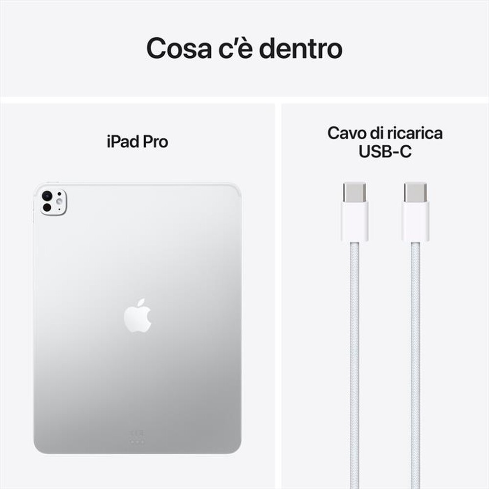 Immagine del prodotto APPLE - iPad Pro 13" M5 WiFi 2TB-Argento