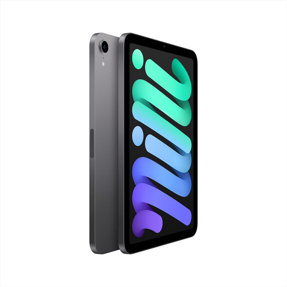 Immagine del prodotto APPLE - iPad mini Wi-Fi 256GB-Space Grey