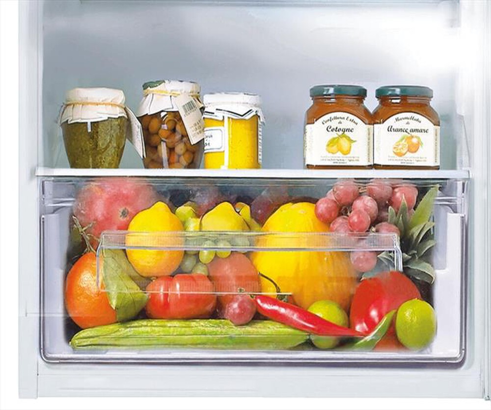 Immagine del prodotto CANDY - Frigorifero 2 porte CTM516EW Classe E 242 lt-Non applicabile