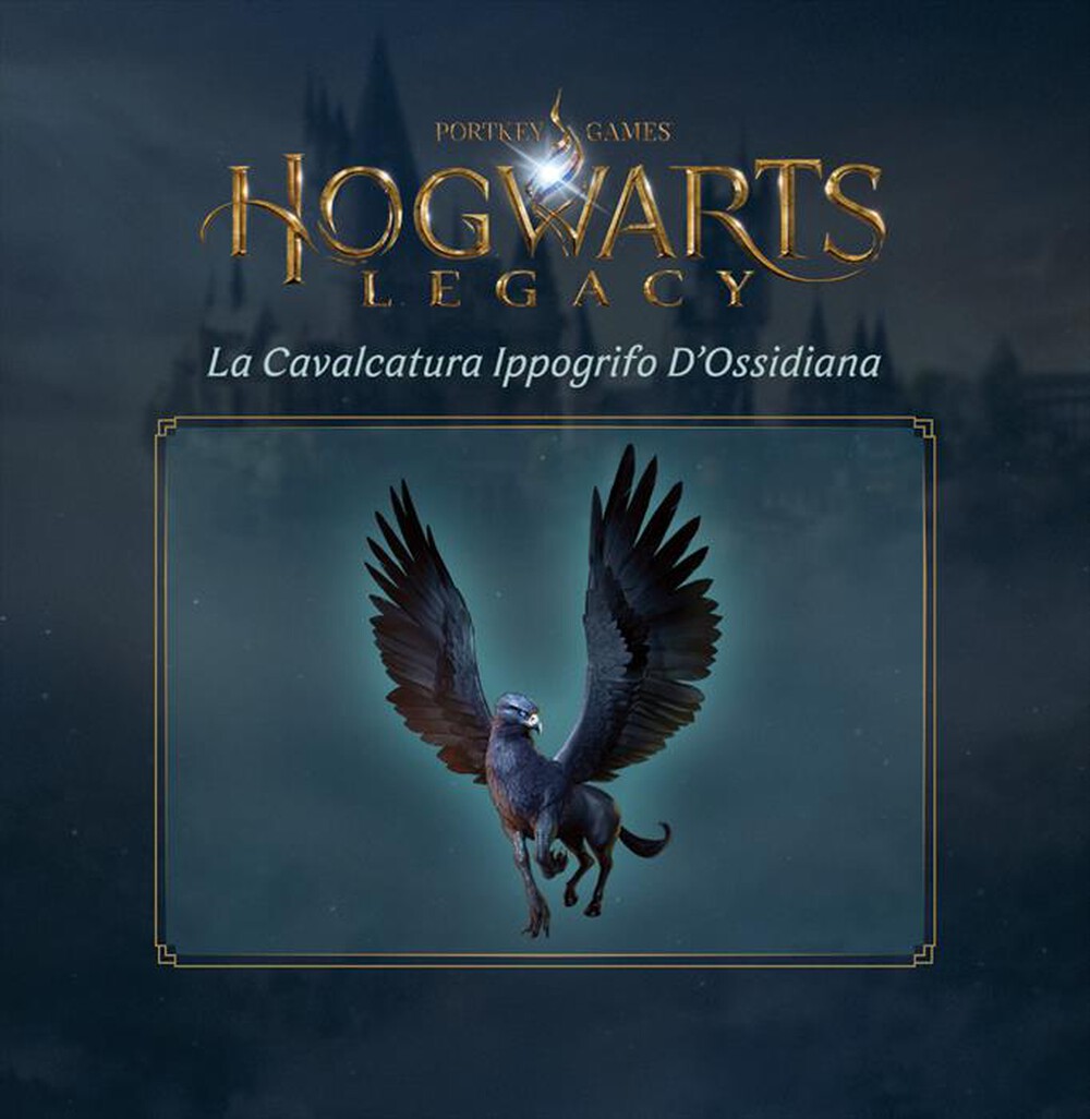 Immagine del prodotto WARNER GAMES - HOGWARTS LEGACY - SWITCH