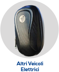 Altri Veicoli Elettrici